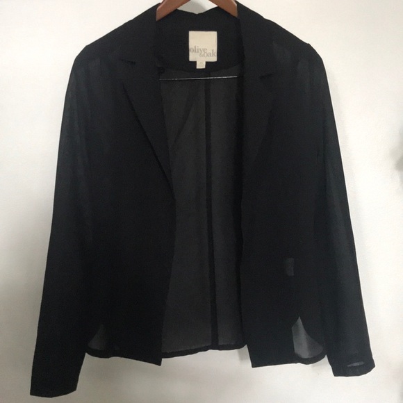 Olive & Oak Sheer Blazer - Picture 1 of 3
